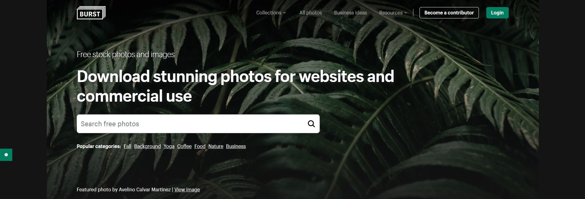 Burst website homepage screenshot